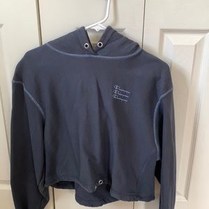 small cropped champion hoodie